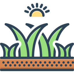 anjali-farms